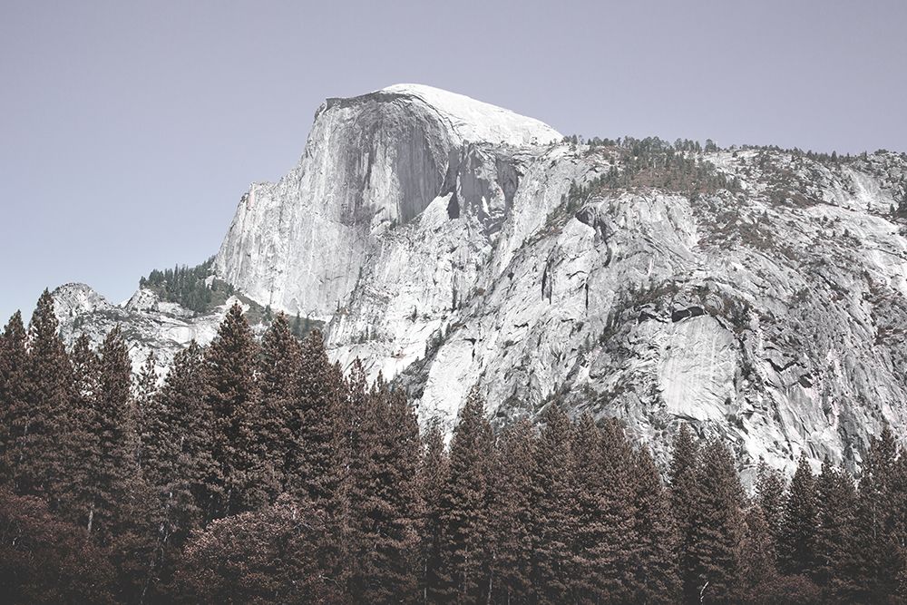 Yosemite National Park-California-USA art print by Carol Highsmith for $57.95 CAD