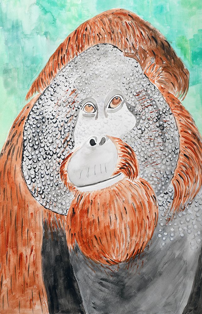 Bornean Orangutan art print by Wynn Derr for $57.95 CAD
