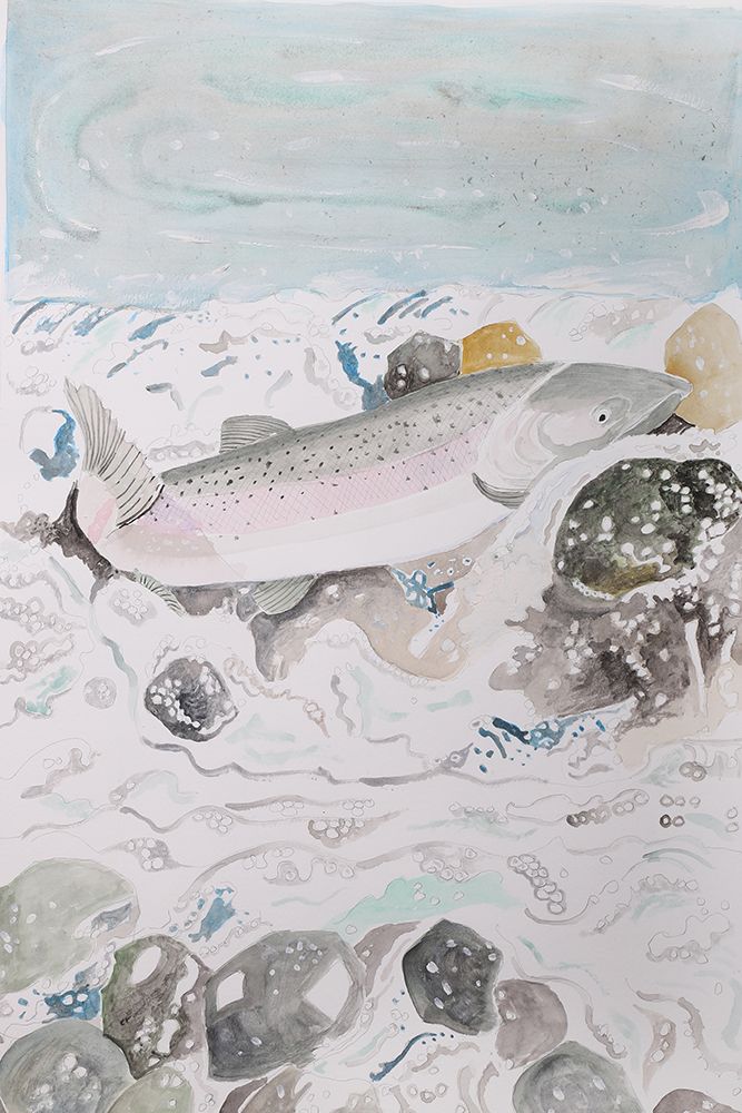 Coho Salmon art print by Wynn Derr for $57.95 CAD