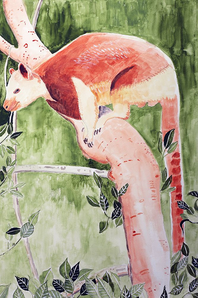 Grizzled Tree Kangaroo art print by Wynn Derr for $57.95 CAD