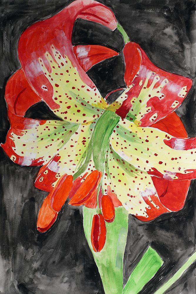 Western Lily art print by Wynn Derr for $57.95 CAD