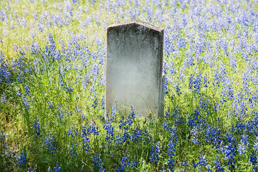 Headstone in Field of Flowers art print by Carol Highsmith for $57.95 CAD