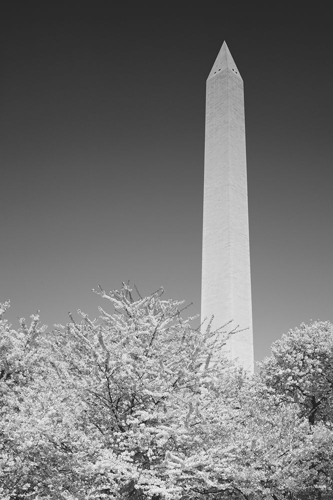 The Washington Monument in Washington-D.C. art print by Carol Highsmith for $57.95 CAD