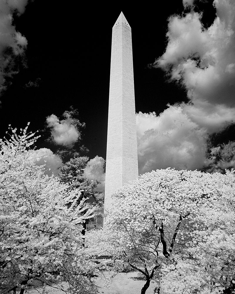 Washington Monument-Washington D.C. art print by Carol Highsmith for $57.95 CAD