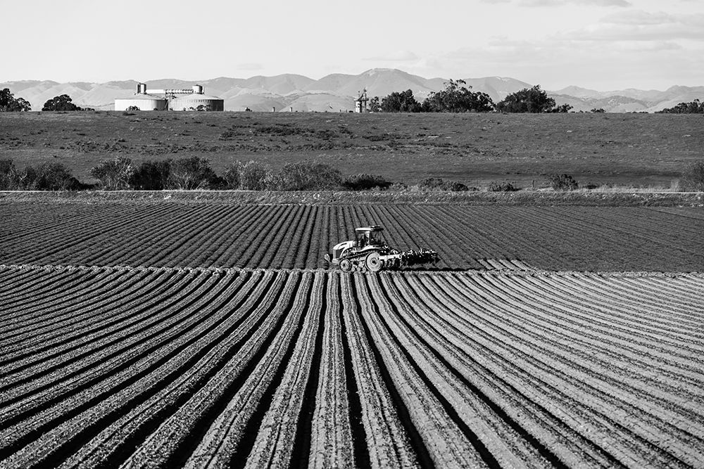 Crop rows in San Luis Obispo County-California art print by Carol Highsmith for $57.95 CAD