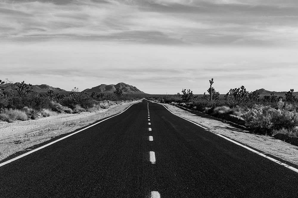 Mojave National Preserve in California art print by Carol Highsmith for $57.95 CAD