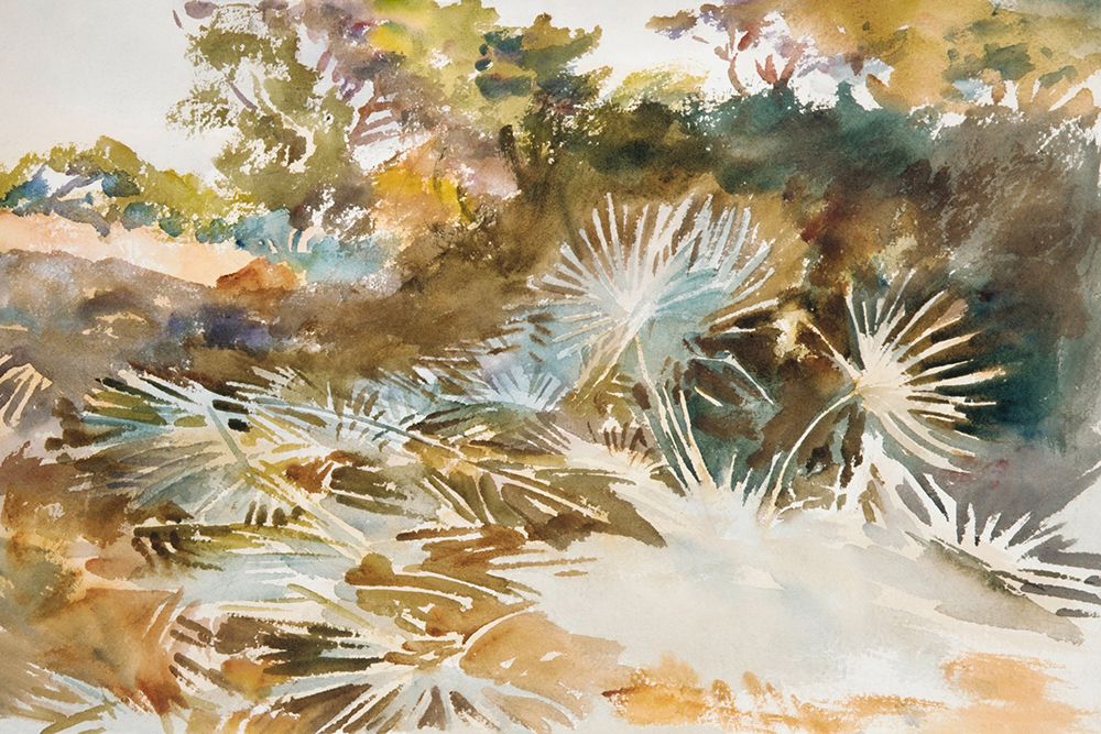 Landscape with Palmettos art print by John Singer Sargent for $57.95 CAD