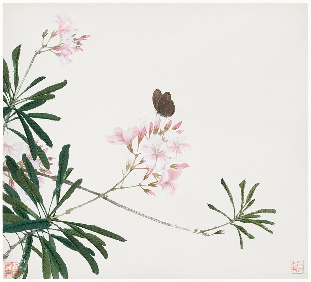 Insects and Flowers I art print by Ju Lian for $57.95 CAD