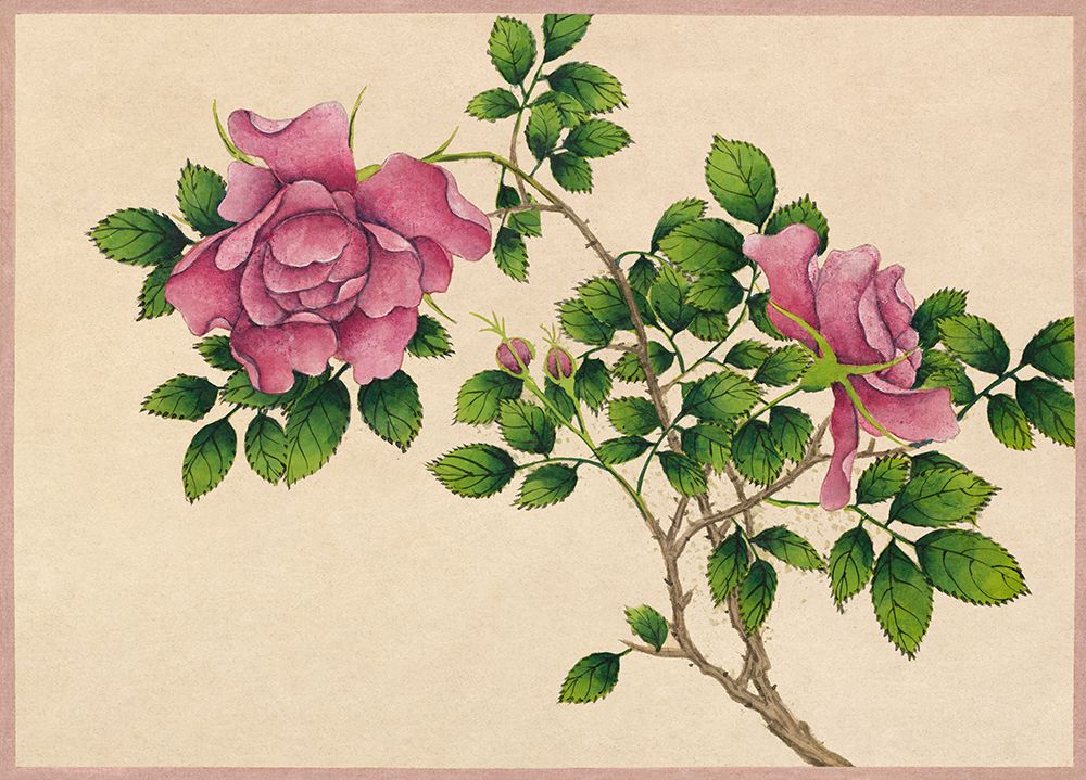 Rose art print by Zhang Ruoai for $57.95 CAD