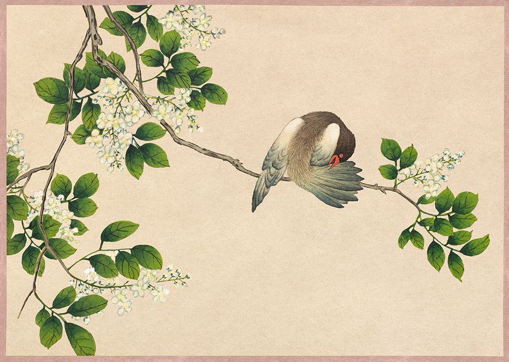 Preening Bird art print by Zhang Ruoai for $57.95 CAD
