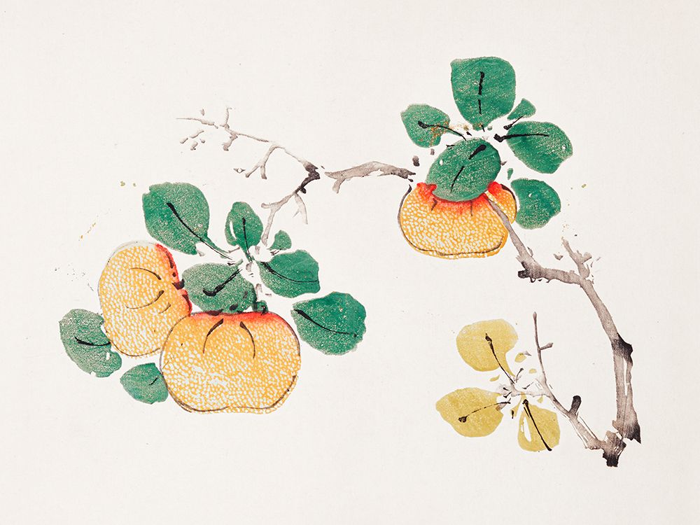 Page from Shi Zhu Zhai Orange Fruit art print by Hu Zhengyan for $57.95 CAD
