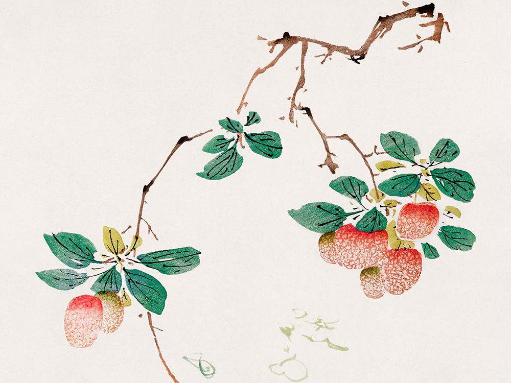 Page from Shi Zhu Zhai Red Fruit art print by Hu Zhengyan for $57.95 CAD