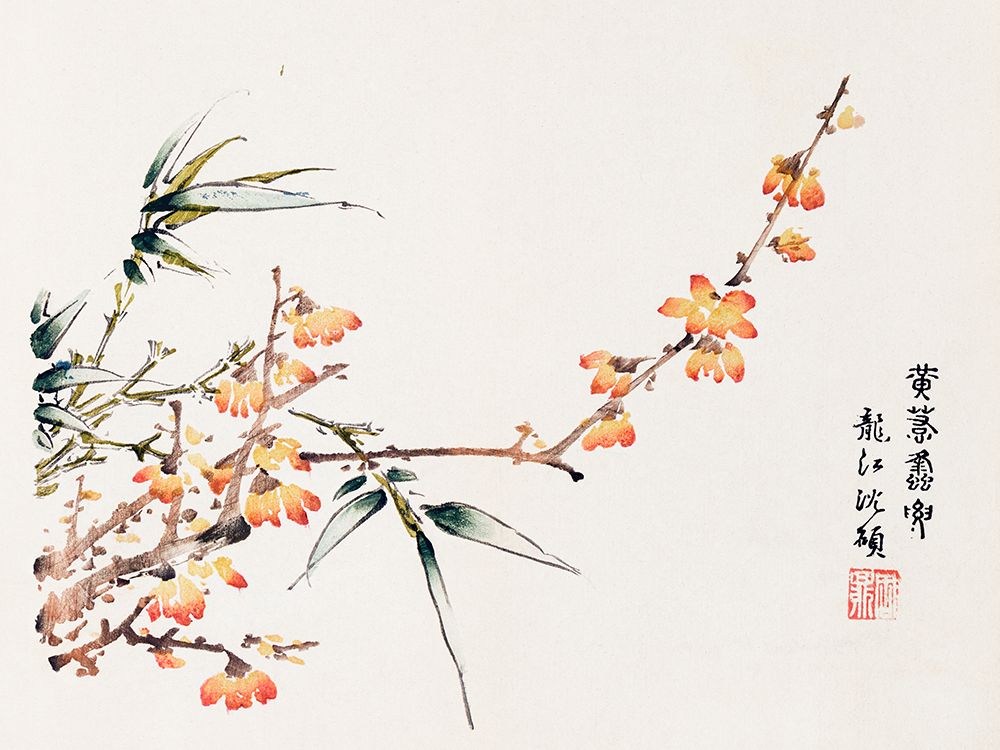 Page from Shi Zhu Zhai Orange Blossoms art print by Hu Zhengyan for $57.95 CAD