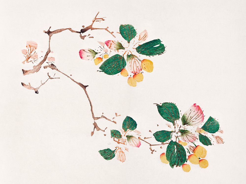 Page from Shi Zhu Zhai Golden Fruit art print by Hu Zhengyan for $57.95 CAD