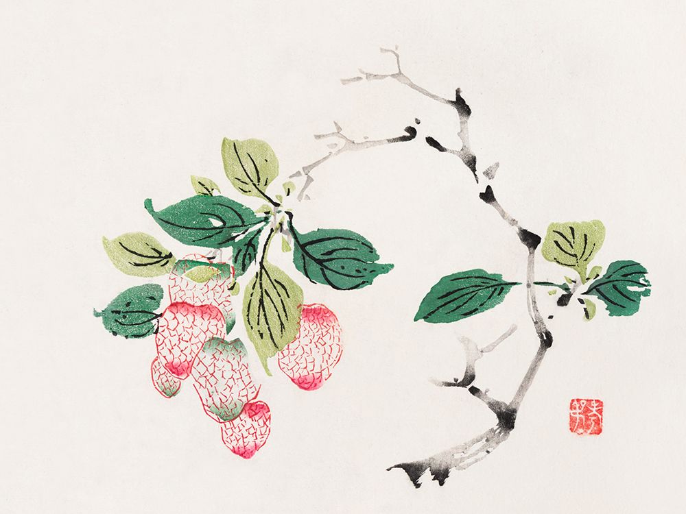 Page from Shi Zhu Zhai Red Fruit Bunch art print by Hu Zhengyan for $57.95 CAD