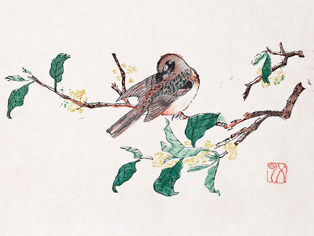 Page from Shi Zhu Zhai Preening Bird art print by Hu Zhengyan for $57.95 CAD
