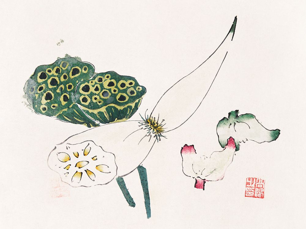 Page from Shi Zhu Zhai Green Seed Pods art print by Hu Zhengyan for $57.95 CAD