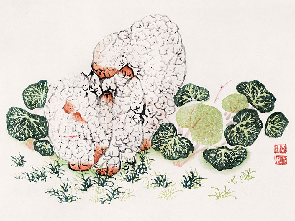 Page from Shi Zhu Zhai Green Leaves art print by Hu Zhengyan for $57.95 CAD