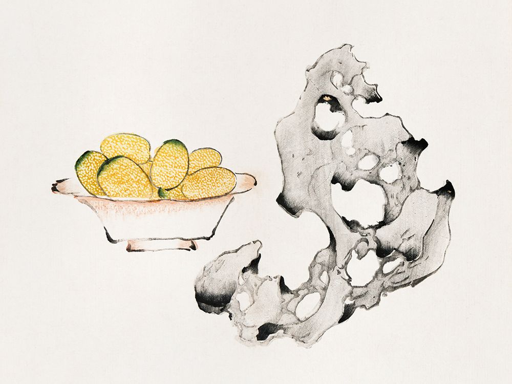 Page from Shi Zhu Zhai Fruit Bowl art print by Hu Zhengyan for $57.95 CAD