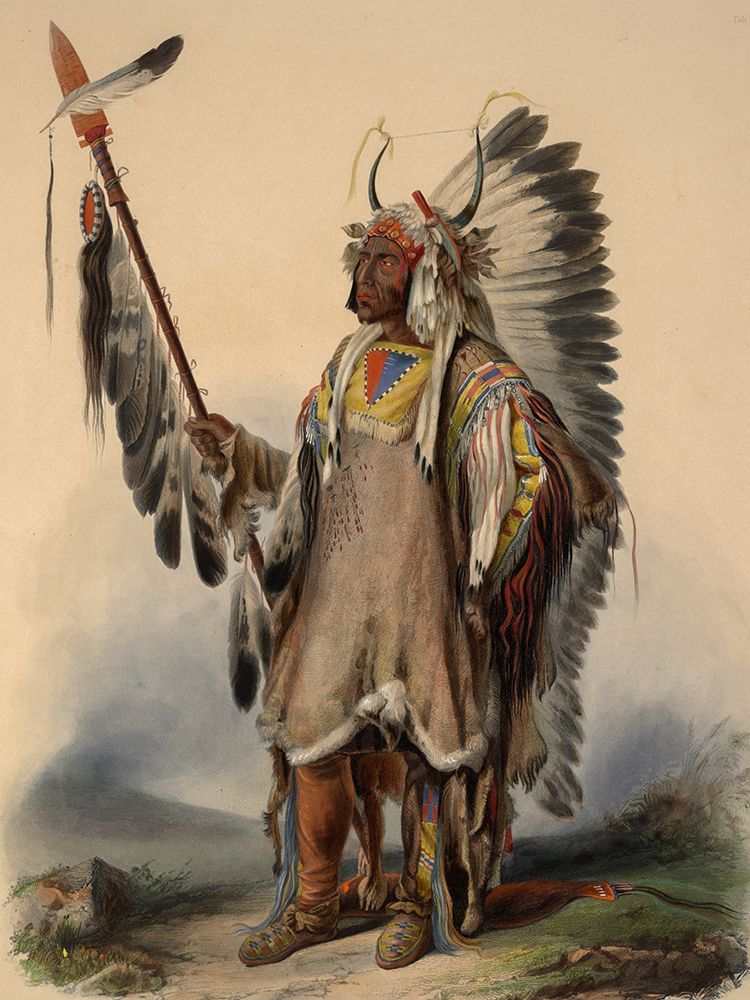 A Mandan Indian Chief art print by Karl Bodmer for $57.95 CAD