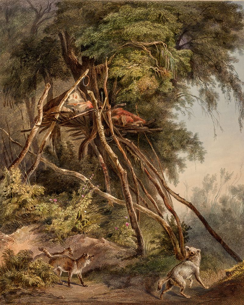 Tombs of Assiniboin indians on trees art print by Karl Bodmer for $57.95 CAD