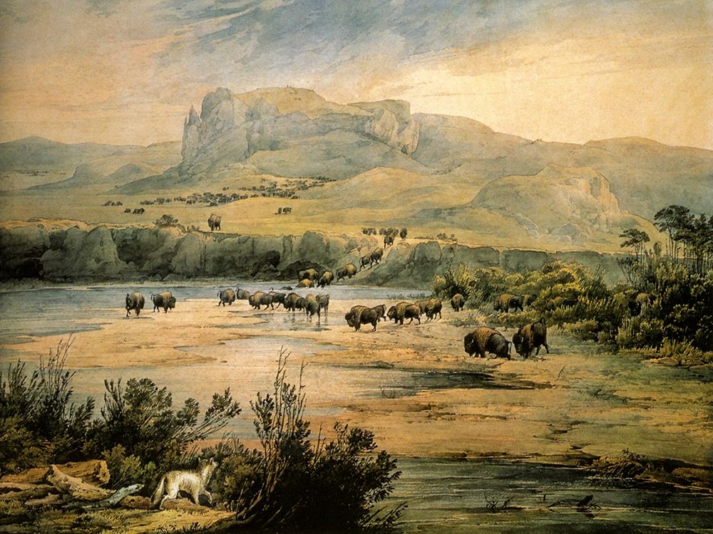 Landscape with buffalo on the upper Missouri art print by Karl Bodmer for $57.95 CAD