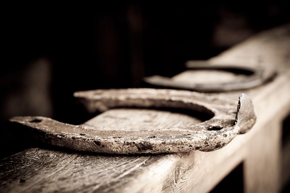 Horseshoes Sepia art print by The Yellowstone Collection for $57.95 CAD