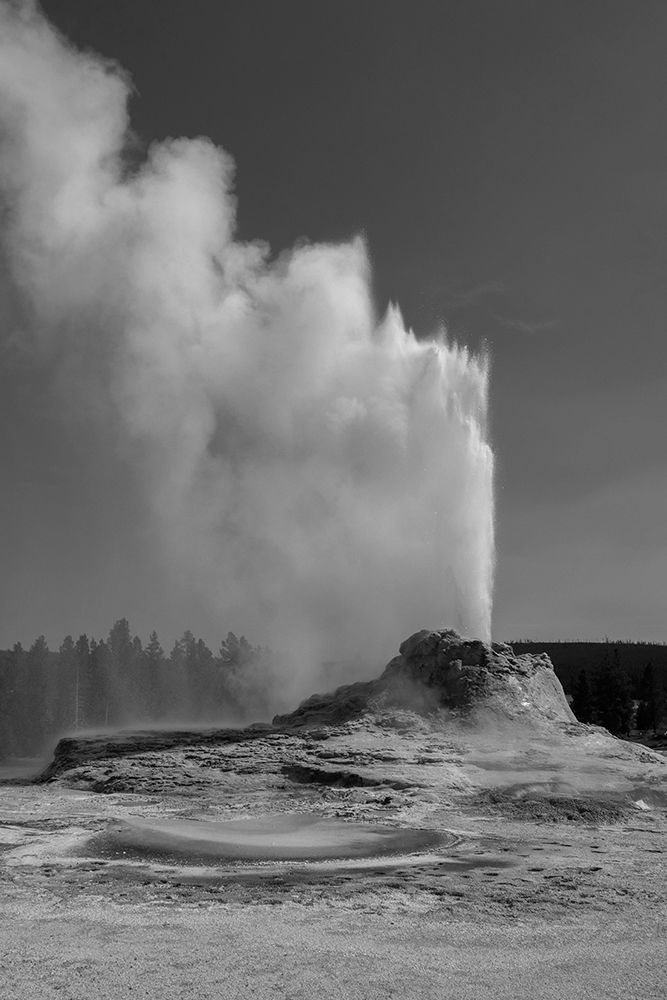 Castle Geyser, Yellowstone National Park art print by Diane Renkin for $57.95 CAD