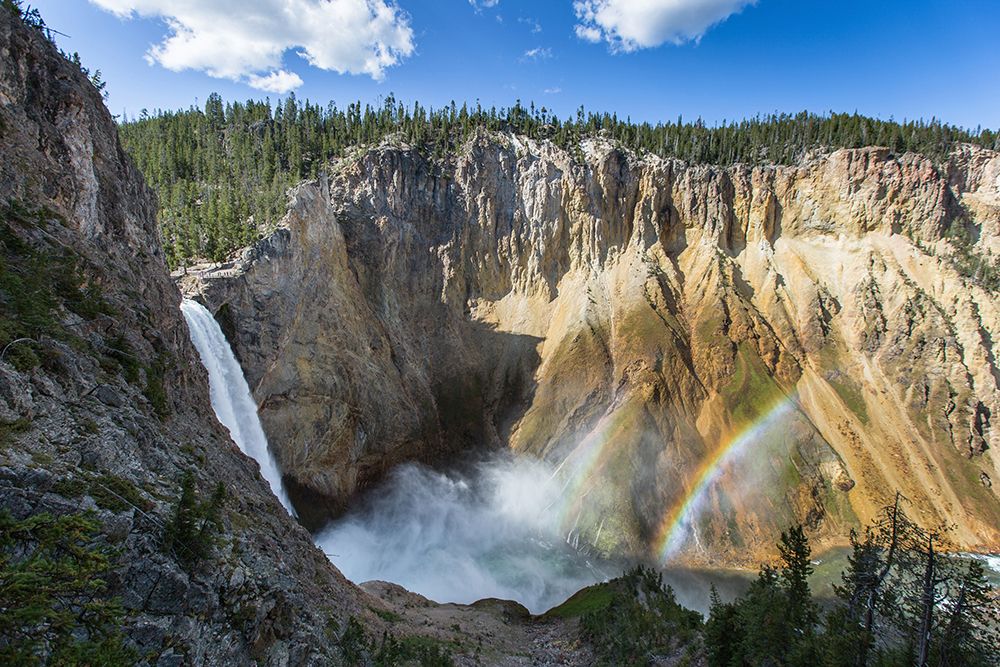 Lower Falls from Uncle Toms Trail, Yellowstone National Park art print by Neal Herbert for $57.95 CAD
