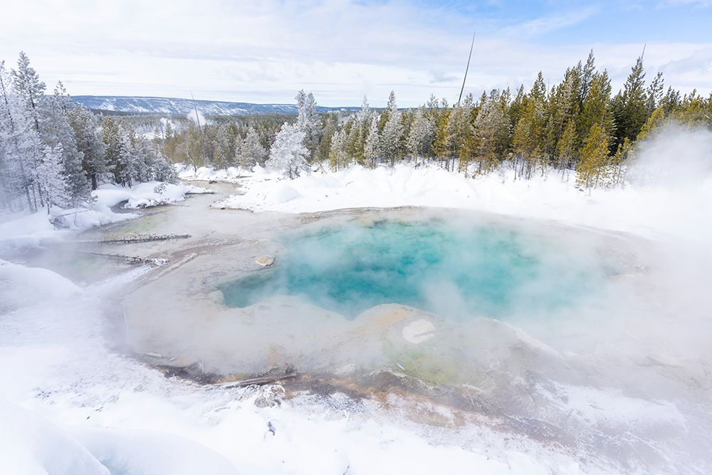Emerald Spring, Yellowstone National Park art print by The Yellowstone Collection for $57.95 CAD