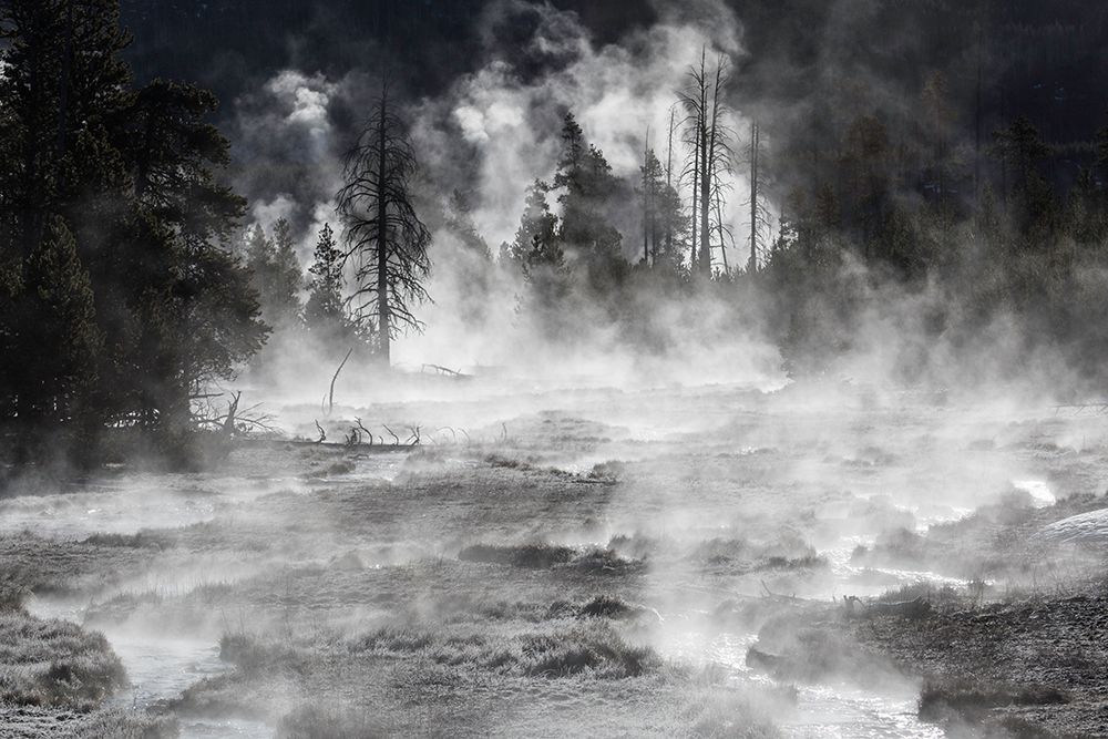 Frost and Steam, Midway Geyser Basin, Yellowstone National Park art print by The Yellowstone Collection for $57.95 CAD