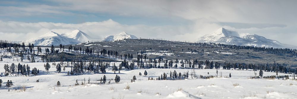 Gallatin Mountains from Blacktail Deer Plateau, Yellowstone National Park art print by The Yellowstone Collection for $57.95 CAD