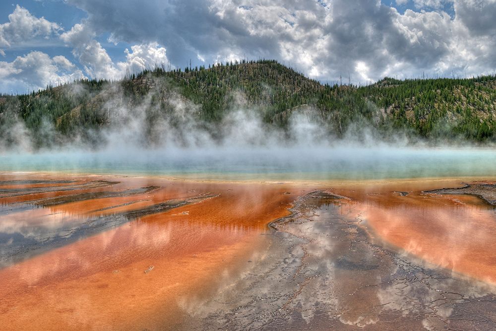 Grand Prismatic Spring and Thermophiles, Yellowstone National Park art print by Curtis Akin for $57.95 CAD