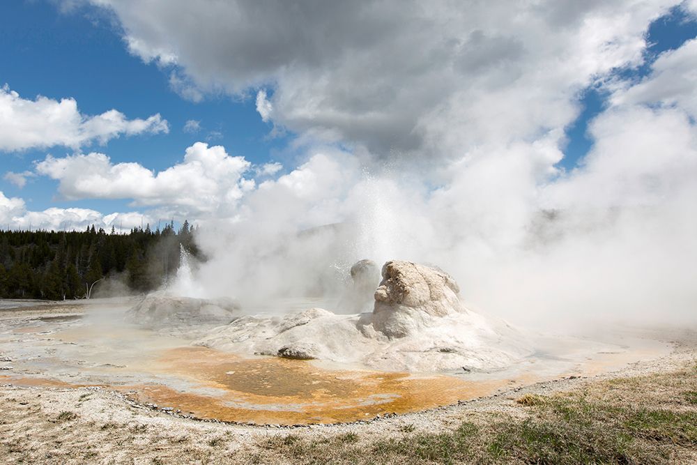 Grotto Geyser, Yellowstone National Park art print by The Yellowstone Collection for $57.95 CAD