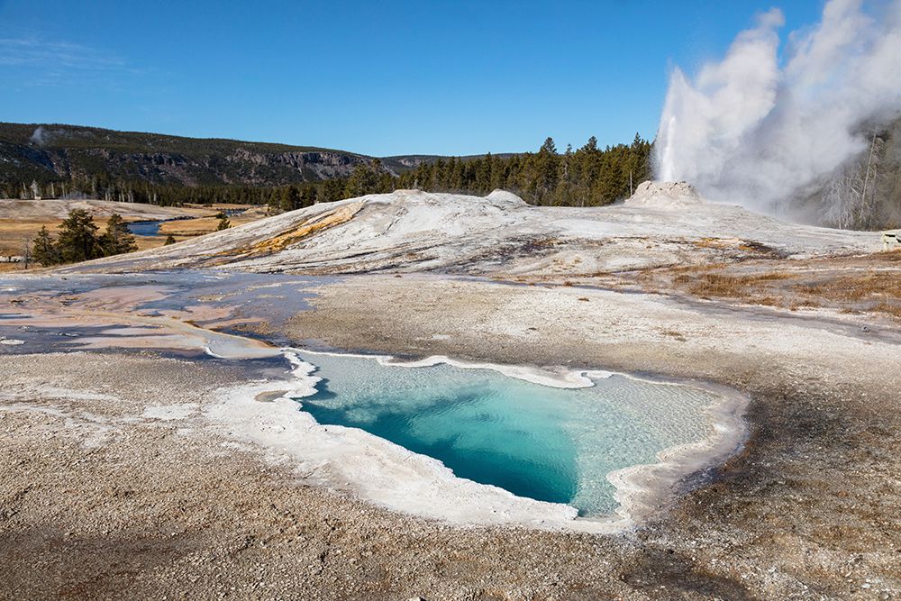Lion Geyser and Heart Spring, Yellowstone National Park art print by The Yellowstone Collection for $57.95 CAD