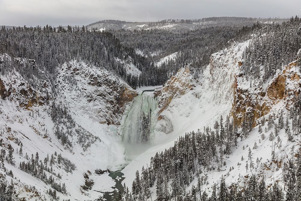 Lower Falls from Lookout Point, Yellowstone National Park art print by Jacob W. Frank for $57.95 CAD