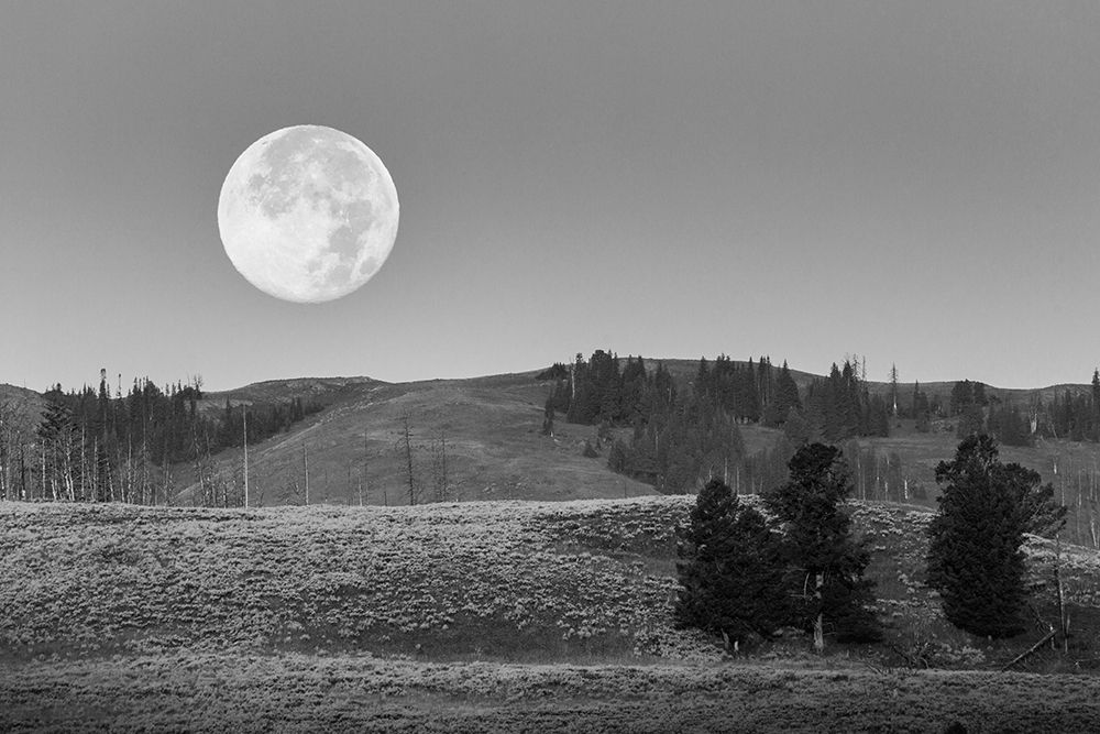 Moonset, Lamar Valley, Yellowstone National Park art print by Neal Herbert for $57.95 CAD
