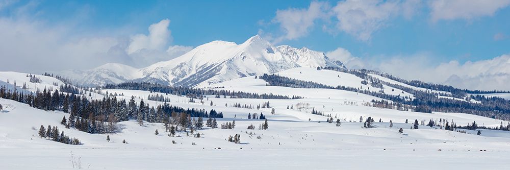 Swan Lake Flat panorama with Electric Peak, Yellowstone National Park art print by The Yellowstone Collection for $57.95 CAD