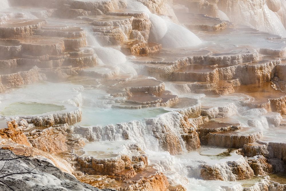 Terraces of Canary Spring, Yellowstone National Park art print by The Yellowstone Collection for $57.95 CAD