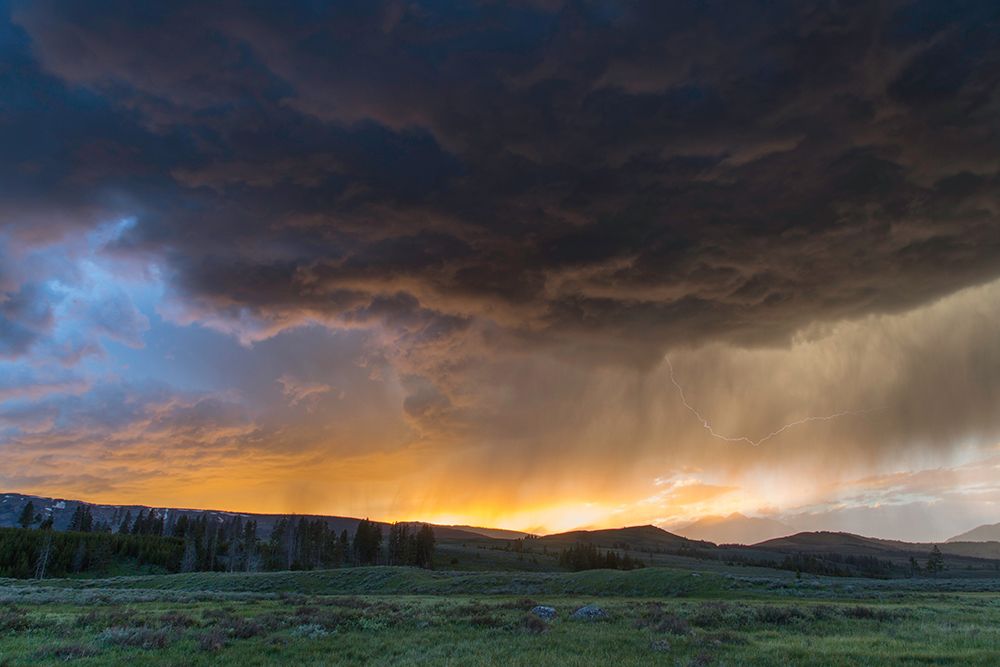 Thunderstorm at Sunset, Swan Lake Flat, Yellowstone National Park art print by The Yellowstone Collection for $57.95 CAD