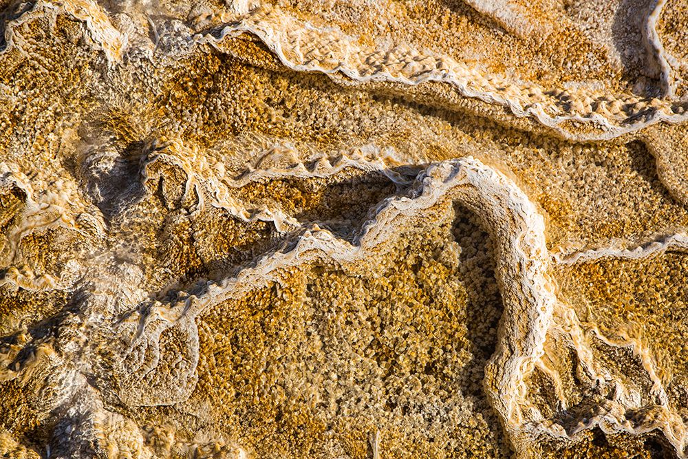 Travertine Terraces at Mammoth Hot Springs, Yellowstone National Park art print by Neal Herbert for $57.95 CAD