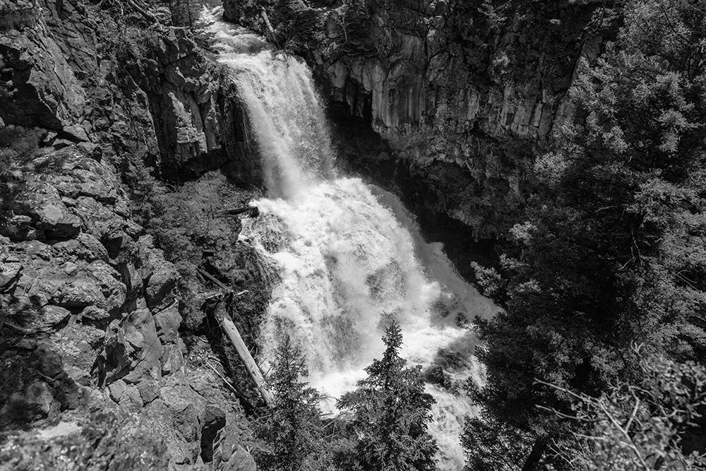 Undine Falls from the Lava Creek Trail, Yellowstone National Park art print by Jacob W. Frank for $57.95 CAD