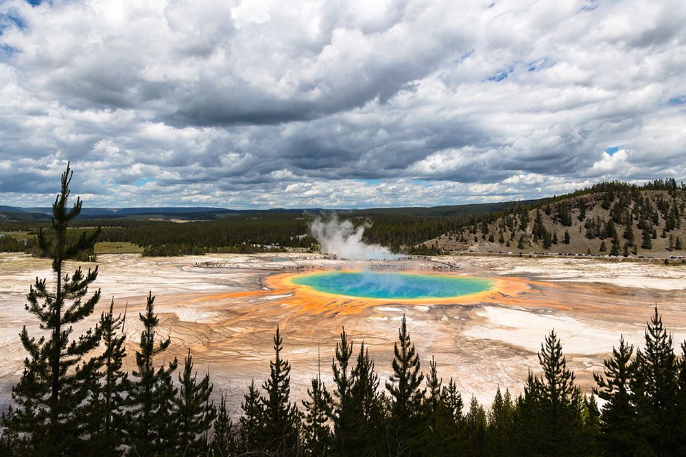Views from the Grand Prismatic Overlook Trail, Yellowstone National Park art print by The Yellowstone Collection for $57.95 CAD