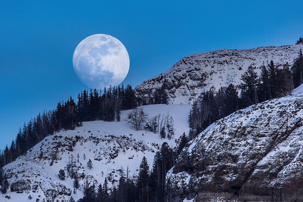 Waxing Moon, Lamar Valley, Yellowstone National Park art print by The Yellowstone Collection for $57.95 CAD
