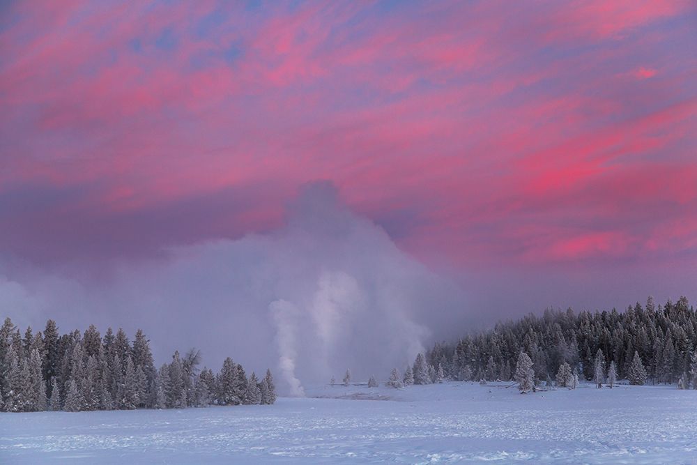 Winter Dawn, Upper Geyser Basin, Yellowstone National Park art print by The Yellowstone Collection for $57.95 CAD