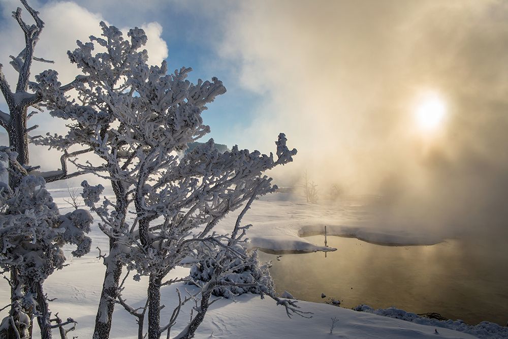 Winter Sunrise, Mammoth Hot Springs, Yellowstone National Park art print by The Yellowstone Collection for $57.95 CAD