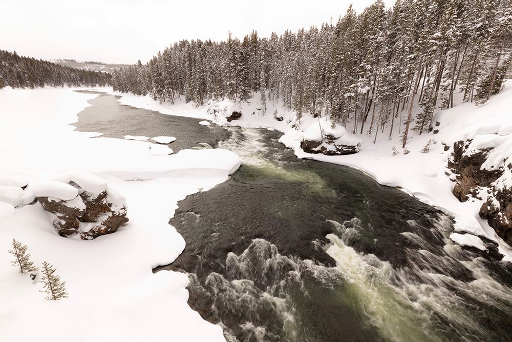 Yellowstone River from the Canyon Bridge, Yellowstone National Park art print by Jacob W. Frank for $57.95 CAD