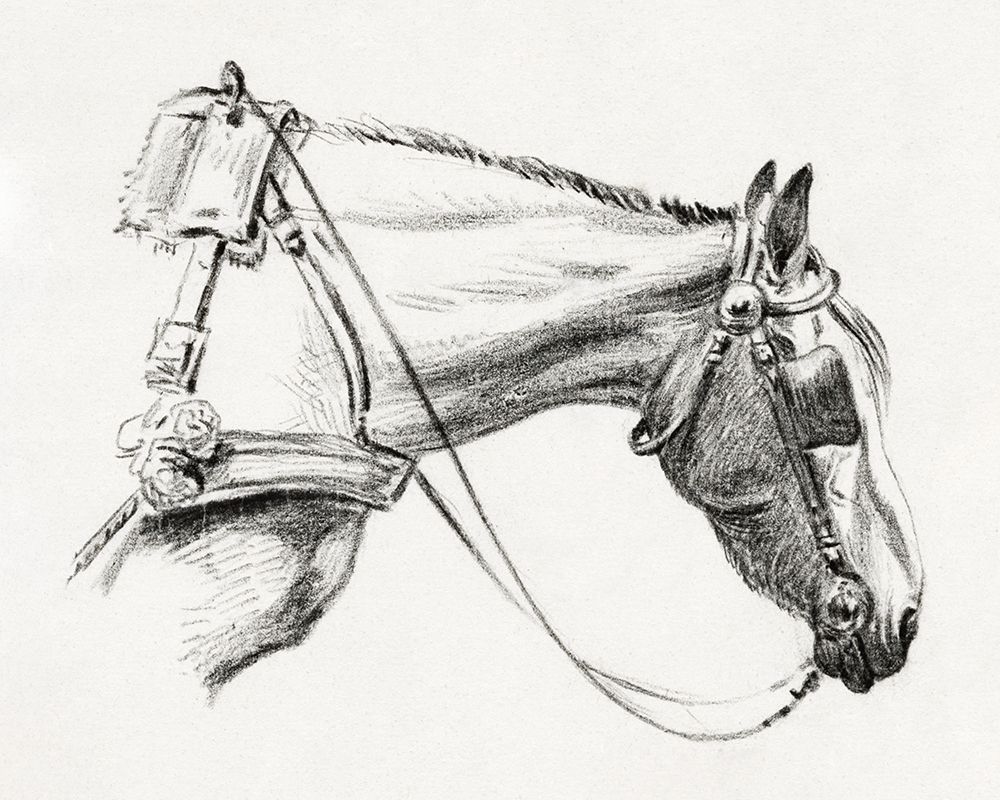 Head of a Horse III 1820 art print by Jean Bernard for $57.95 CAD