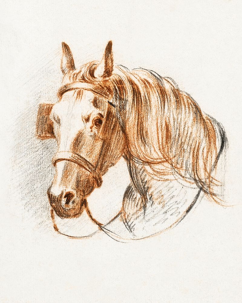 Head of a Horse IV  art print by Jean Bernard for $57.95 CAD