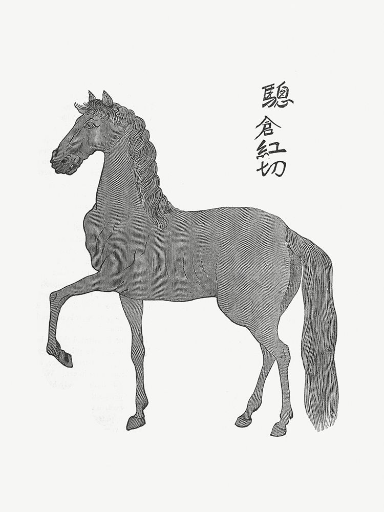 Horse Illustration art print by Francis Lister Hawks for $57.95 CAD
